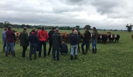 Beef & Lamb ambassadors